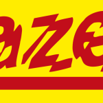 MD-X.ZM Moduł sterujący