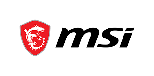 MSI PRO