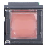 PVA-1EB Przycisk alarmowy stacji wywoławczej