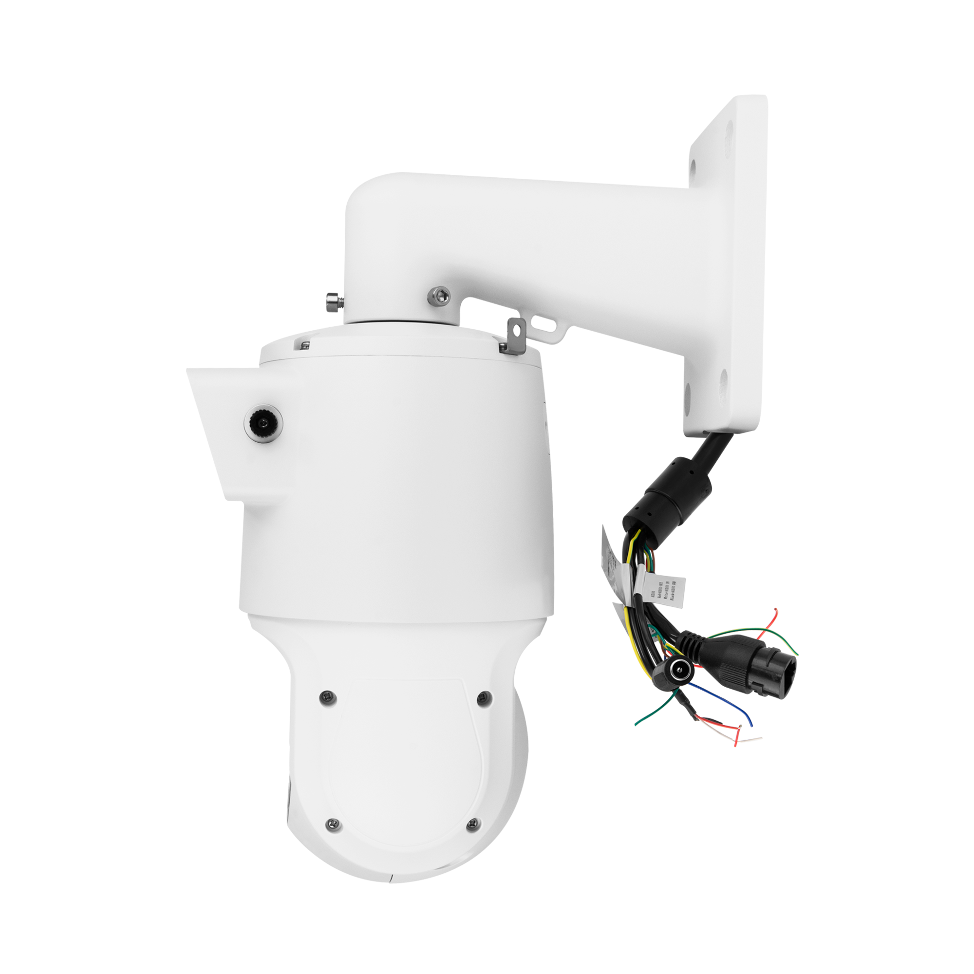 BCS-L-PSIP24425SCR10L5-Ai1 - obrazek 5