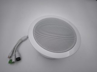 OUTLET SIECIOWY GŁOŚNIK SUFITOWY IPS301015-S-NB