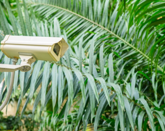 Na jakiej podstawie wybrać systemy monitoringu wizyjnego CCTV?