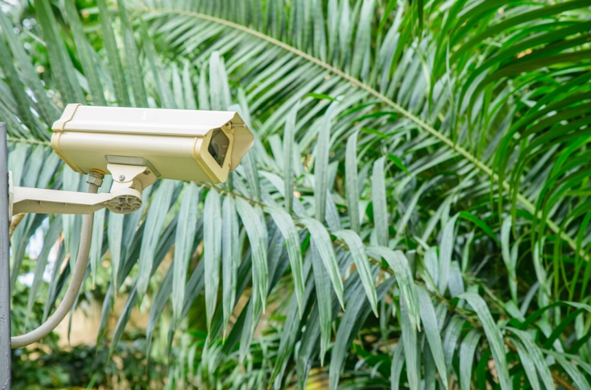 Na jakiej podstawie wybrać systemy monitoringu wizyjnego CCTV?
