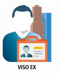 LIC-VISO-EX-16AD Licencja na dodatkowe 16 przejść VISO EX